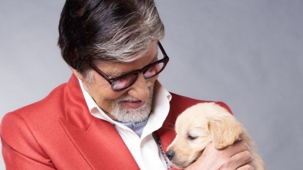 'Look What I Found': Amitabh Bachchan Recalls Earning Rs 1,640 Per Month In 1960s